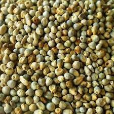 Green-millets.jpg