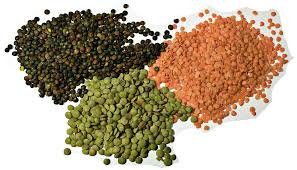 Lentils.png