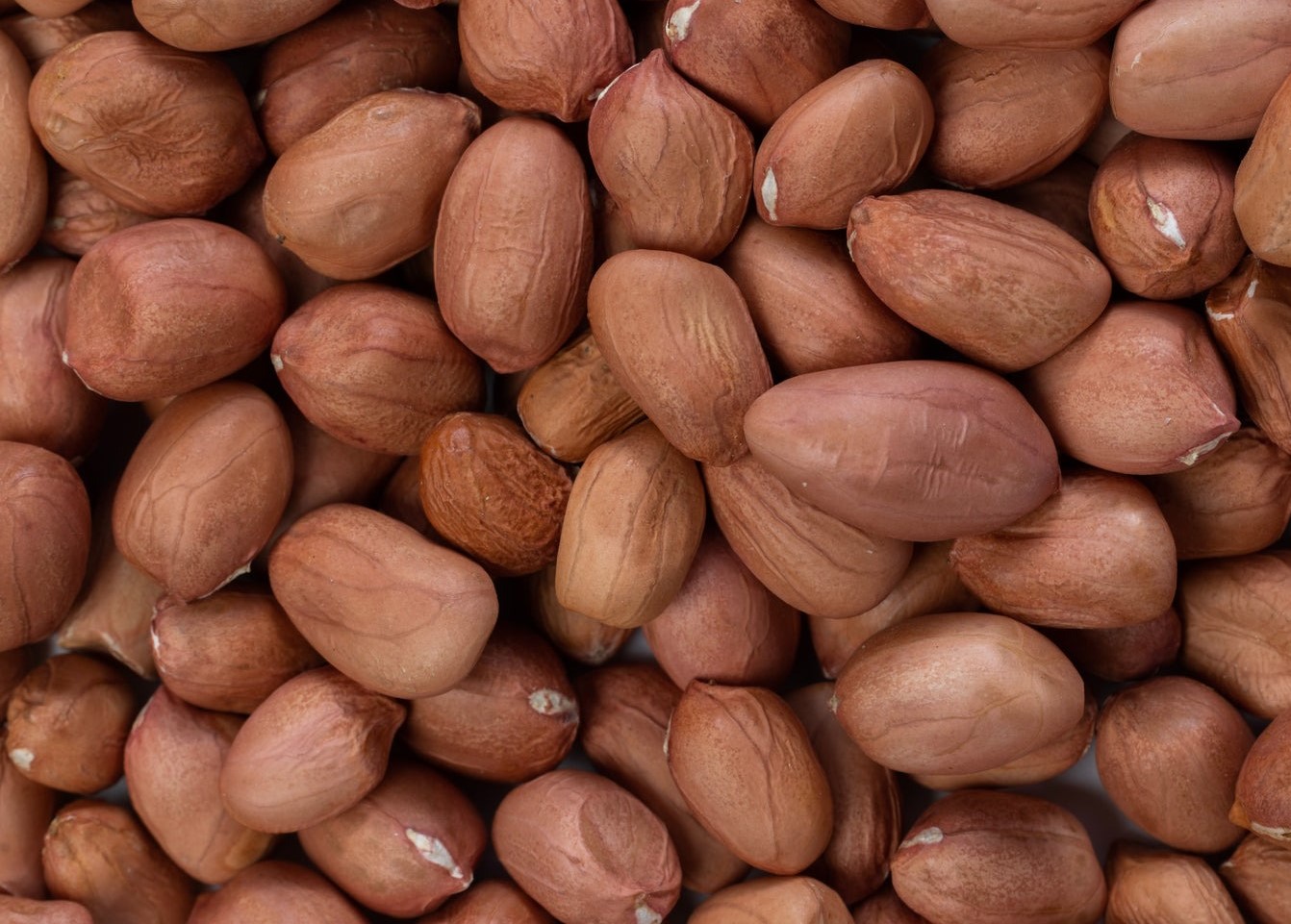 OOO_Farms_Pink_Groundnut.jpg